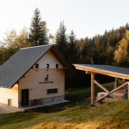 Alpine Cottage Golica เยเซนิตเซ ภายนอก รูปภาพ